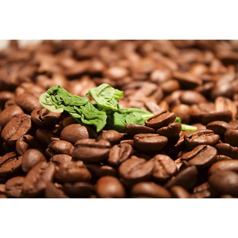 Brown Color Coffee Beans Mural Wall Eco-friendly Material Covering Coffee Shop