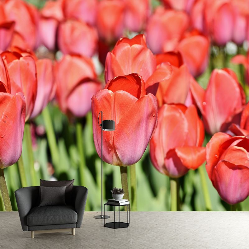 Kleurrijk Tulp Bloem Muurschildering Behang Minimalistisch Muurdecor, Aangepaste Grootte Beschikbaar