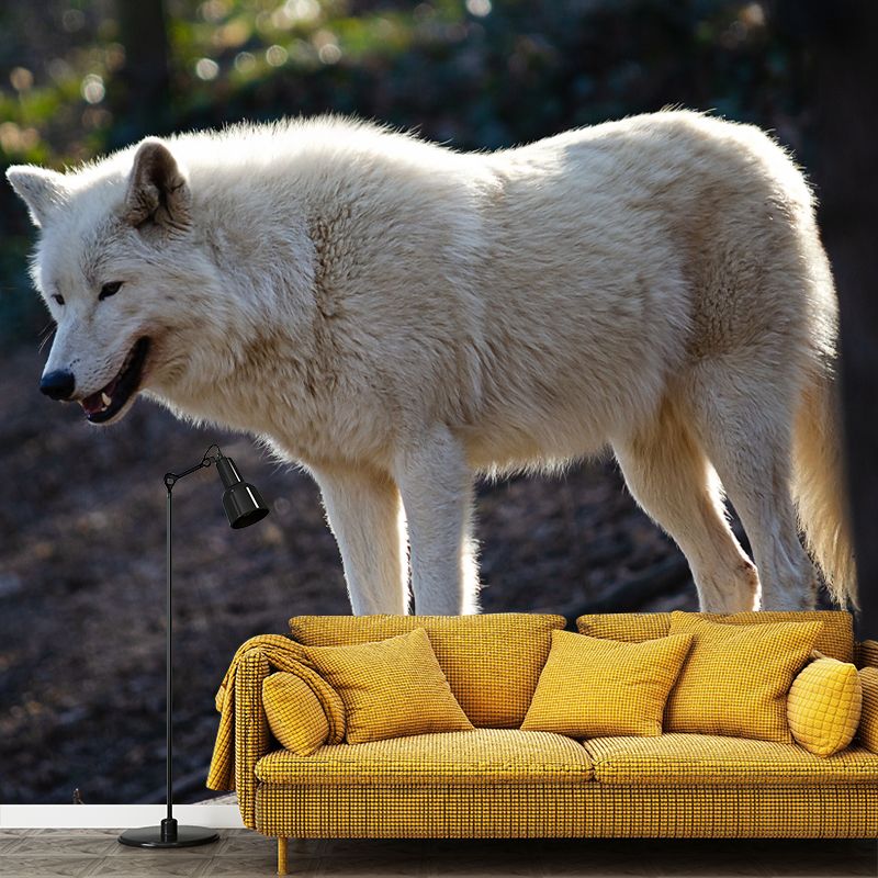 Wolf Animal Mural Wallpaper for Living Room Bedroom, Custom Size Available