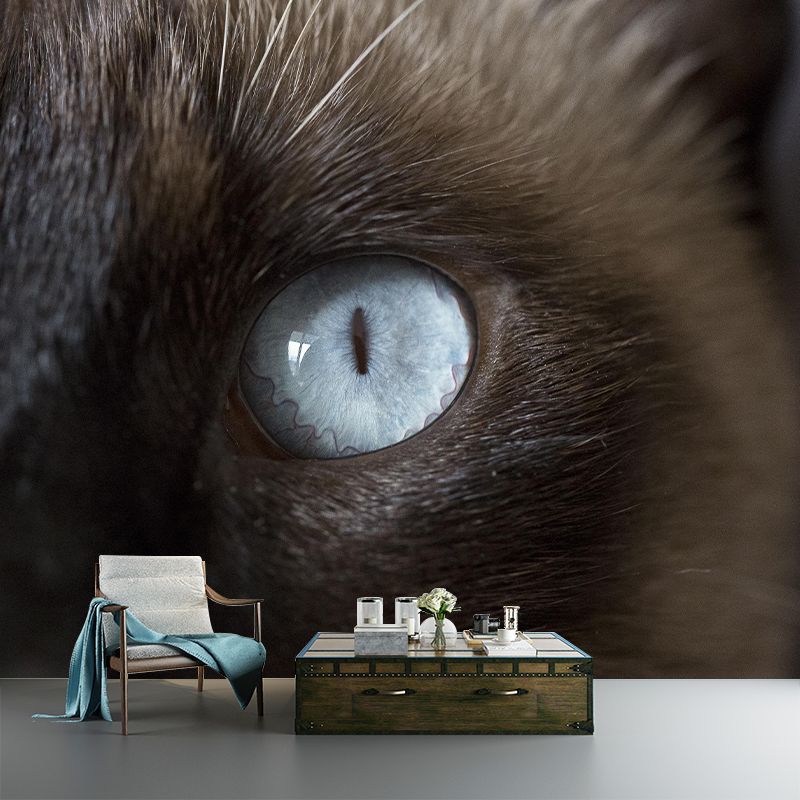 Customized Moisture Resistant Cat Eye Mural Wallpaper Environment Friendly Wall Decor