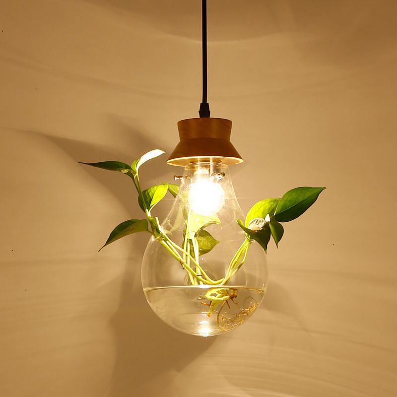 Contemporary Design Bulb Glass Shade Hanging Lamp Hydroponics Plant Drop Pendant for Coffee Shop