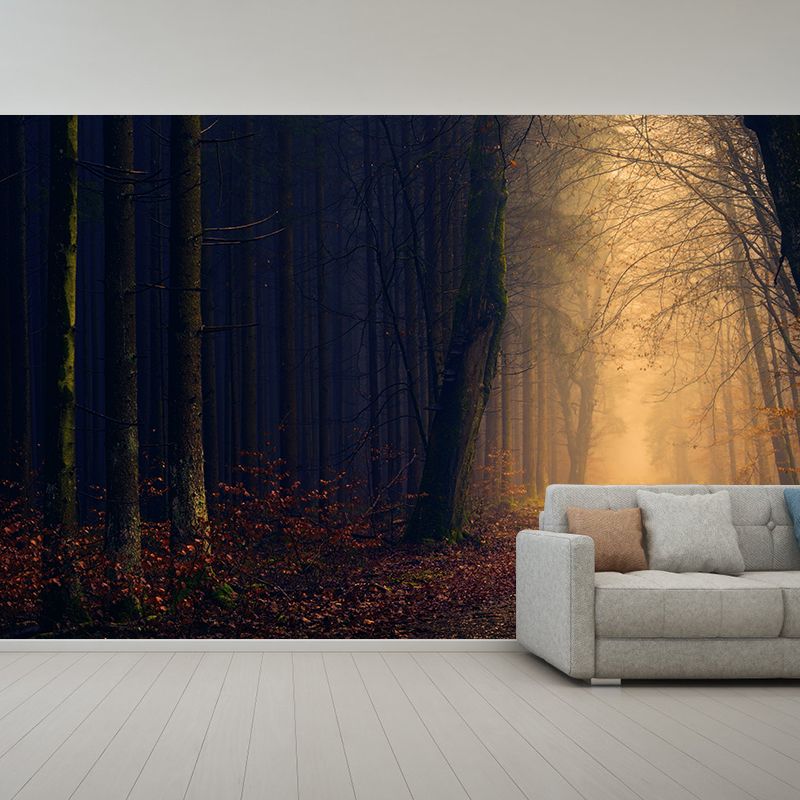 Stain Resistant Photography Forest Pattern Wallpaper Home Decoration Wallpaper
