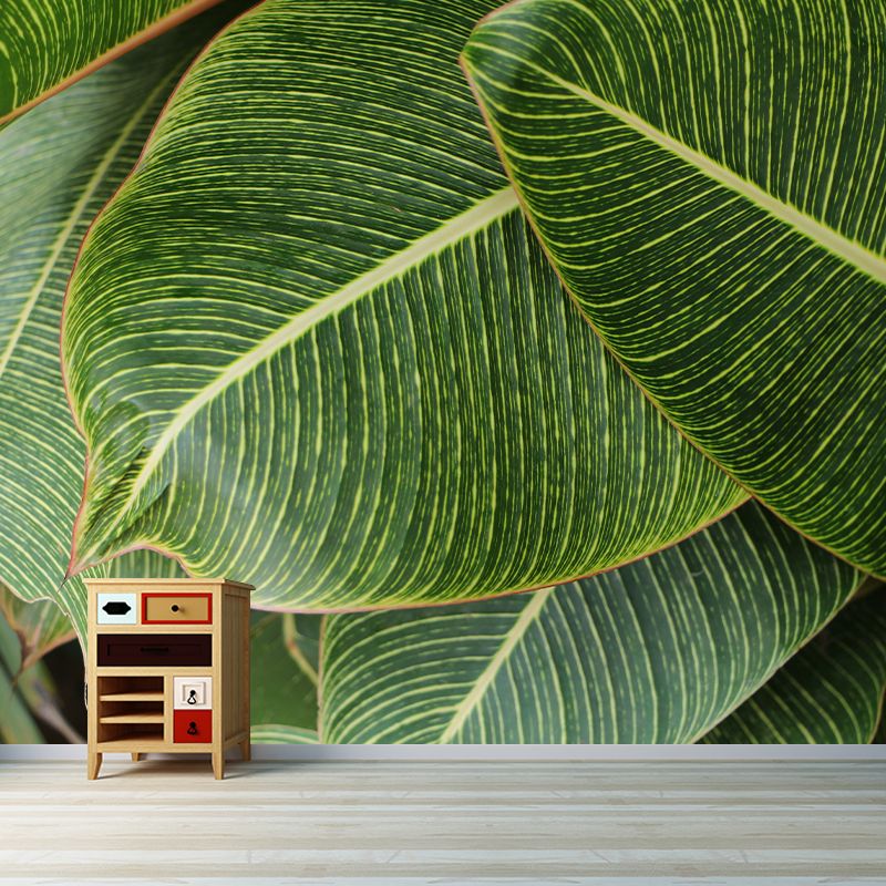 Tropical Leaves Mural Stain-Resistant Wall Decor for Guest Room, Personalized Size