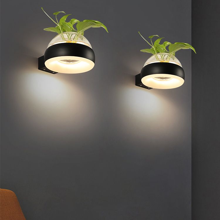 Modern Creative Plant Wall Sconce Light Glass Pot with Acrylic LED Wall Mount Lamp