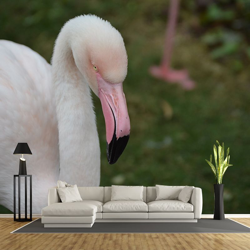 Tropical Flamingo Moisture Resistant Mural Decal Modern Wall Decor for Sleeping Room