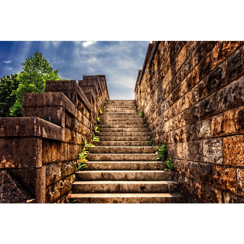 Photography Stairs Architecture Mural Wallpaper Stain Resistant for Sitting Room