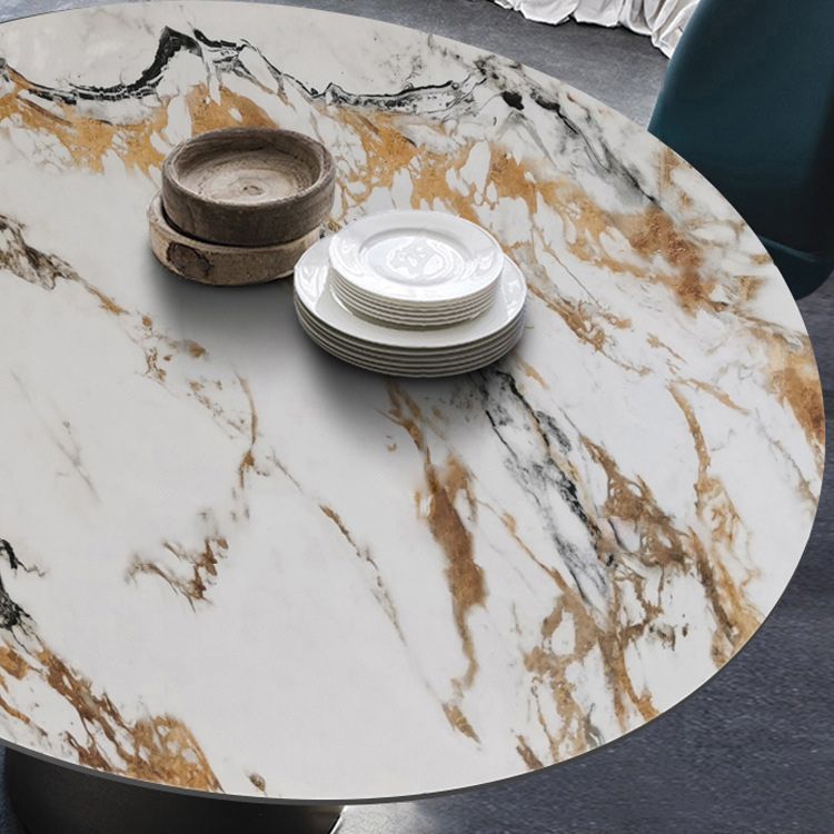 Traditional Luxury Round Dining Table Sintered Stone Top Table with Pedestal Base