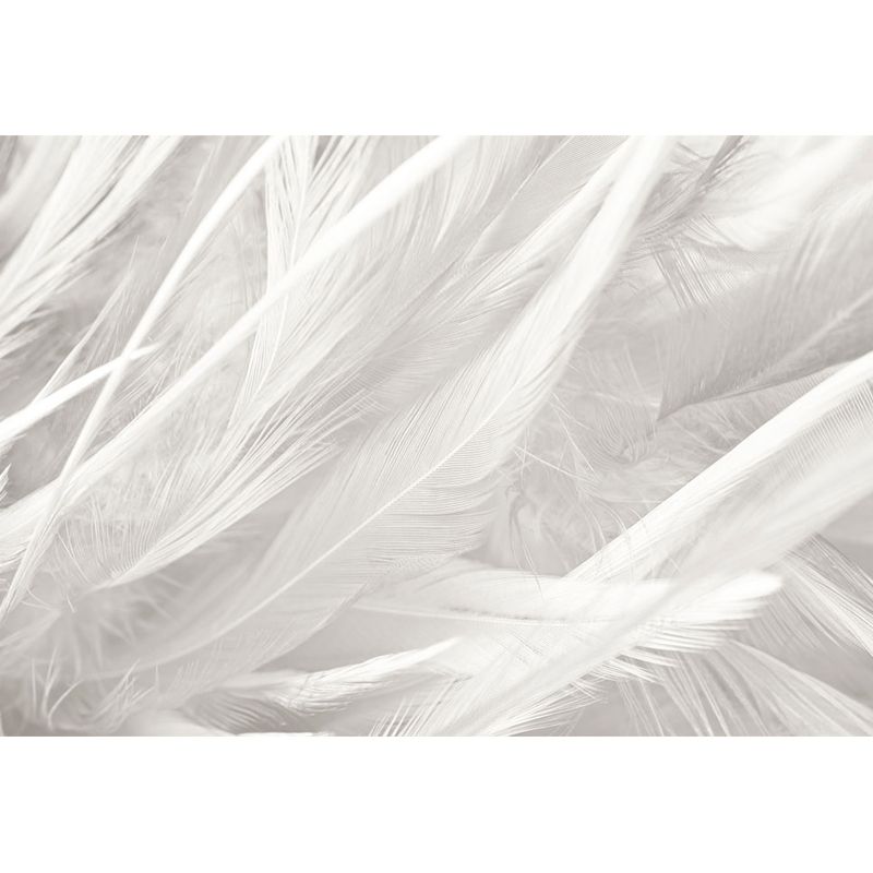 Stacked Bird Feather Mural Wallpaper Contemporary Non-Woven Texture Wall Covering