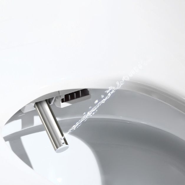 Modern 1-Piece Bidet Toilet Floor Mounted Toilet Bowl for Washroom