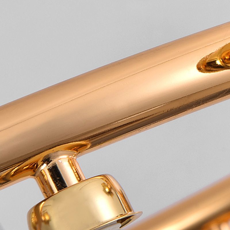 Modern Metal Chandelier Light Fixtures Multi-Head Hanging Pendant Lights with Globe Glass Shade