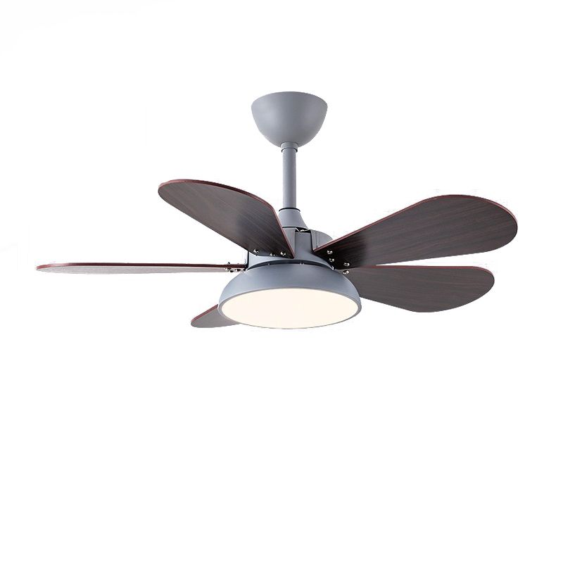 5 - Blades Kids Style Ceiling Fan Metal and Wood Fan Lighting Fixture in Grey / White