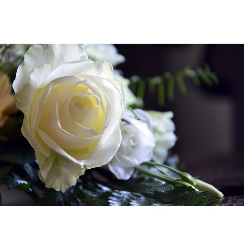 Flower Mural Living Room Decoration Full Size Wall Covering, Moisture Resistant