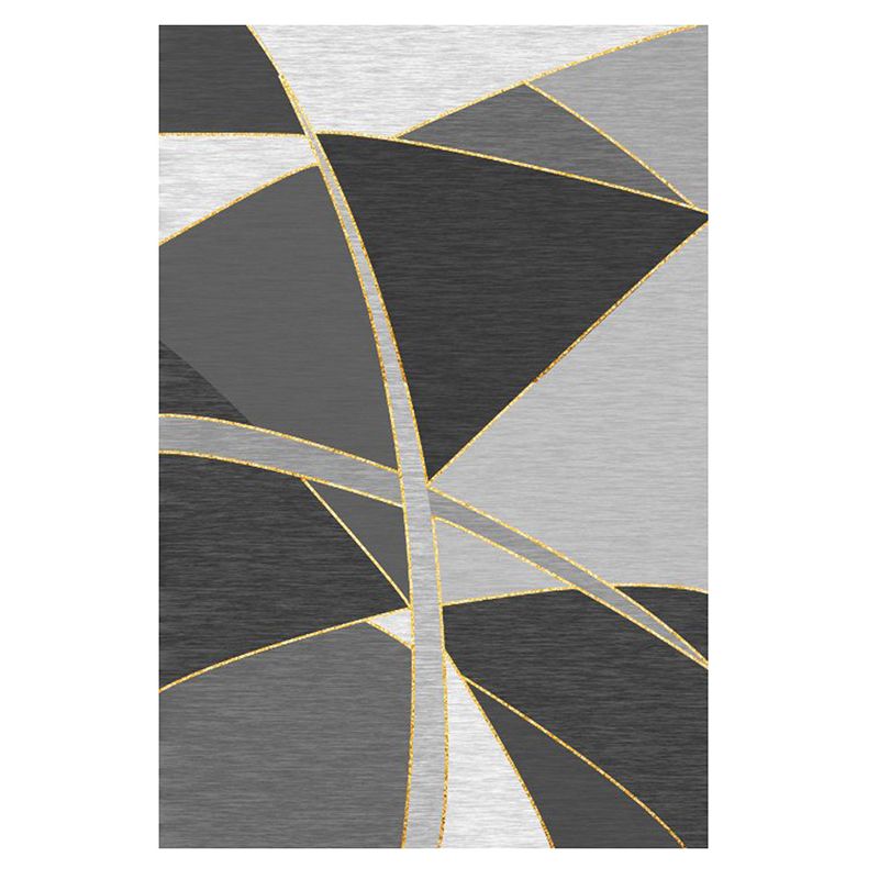 Gorgeous Grey Indoor Rug Polyester Graphic Rug Washable Rug for Home Decor