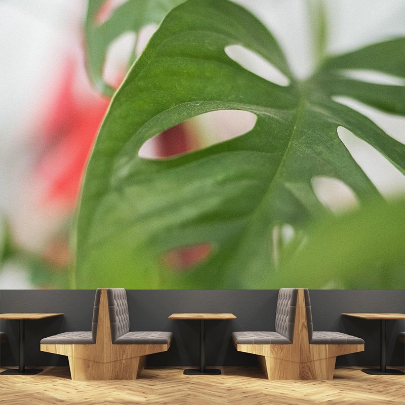 Customized Tropical Monstera Mural Wallpaper Kitchen Murals Backsplash Mildew Resistant