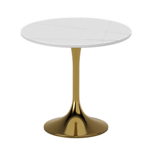 Glam Kitchen Dining Room Set Standard Height with Round Top and Gold Leg Dining Furniture