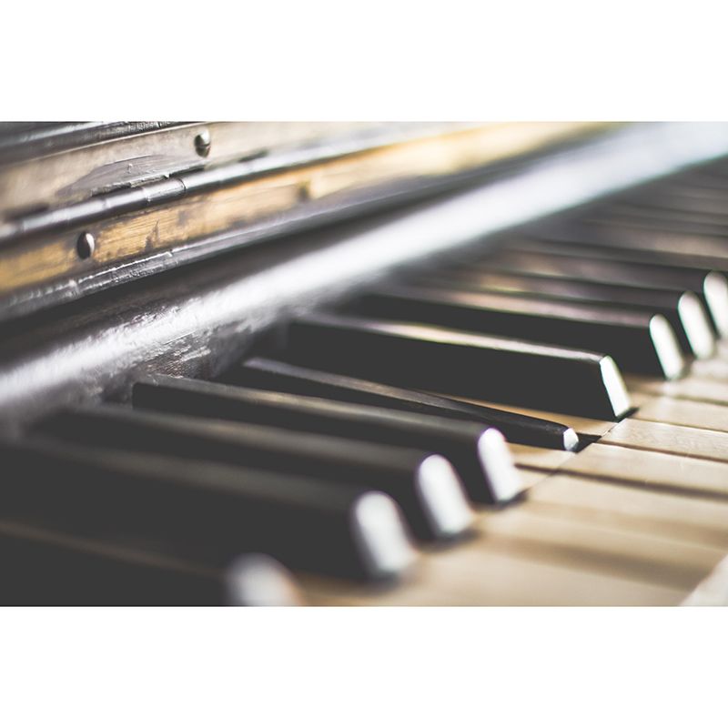 Piano Key Horizontal Photography Mural Decorative Eco-friendly for Bedroom