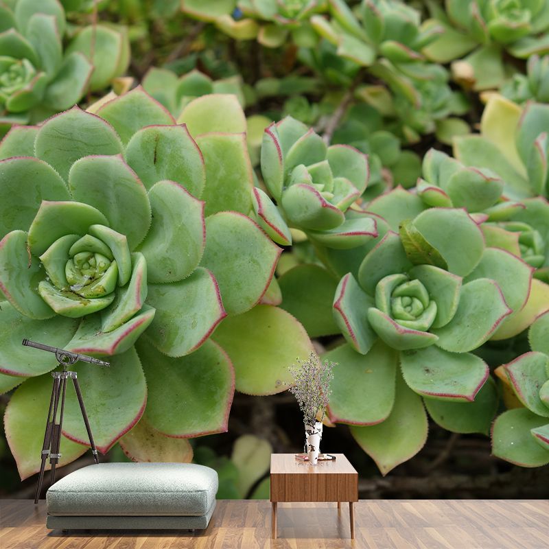 Green Plants Mural Wallpaper Environment Friendly Decorative Restaurant