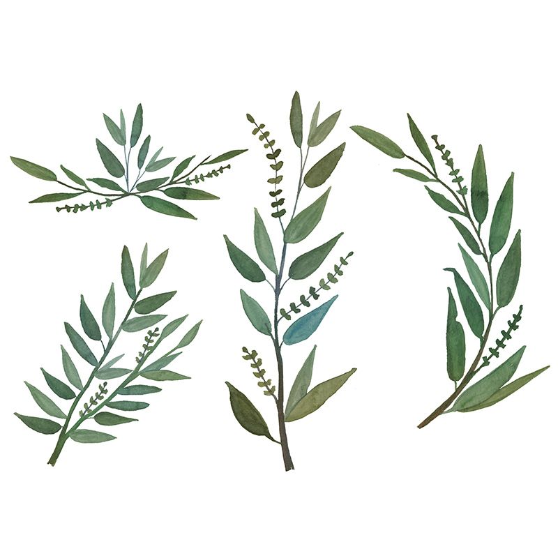 Environment Friendly Tropical Plants Mural Mildew Resistant for Sleeping Room