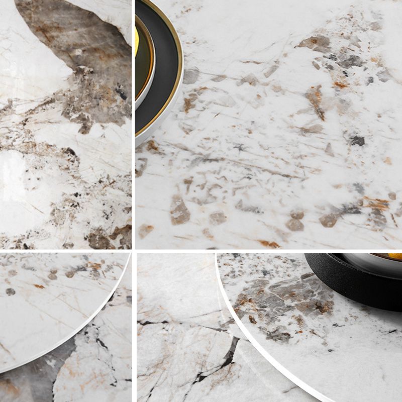 Round Sintered Stone Dining Table Stone Table in White with Pedestal