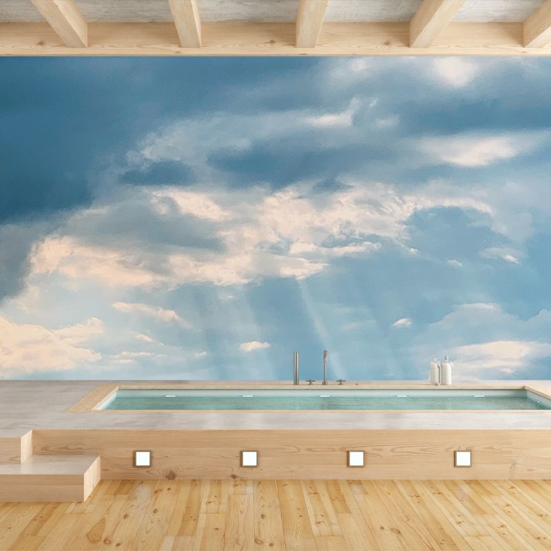 Photography Stain Resistant Mural Wallpaper Sky Sleeping Room Wall Mural