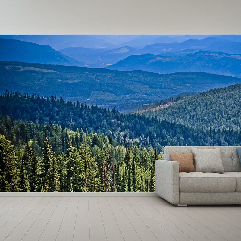 Horizontal Photography Forest Landscapes Mural Eco-friendly Wallpaper for Wall Decor