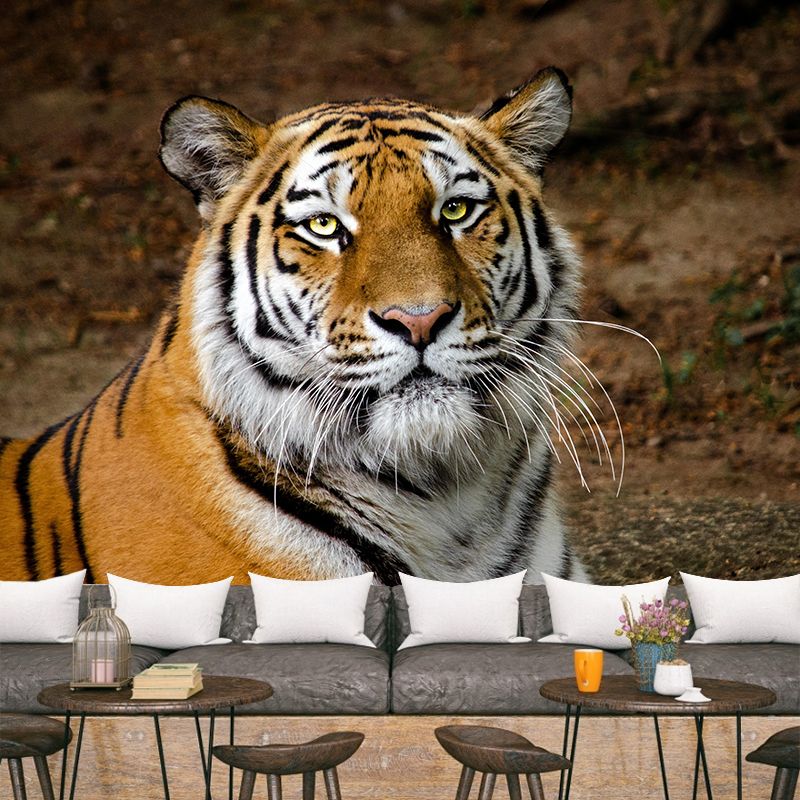 Modern Tiger Close-Up Mural Wall Decor Mildew Resistant Living Room Wall Mural for Wall Decor