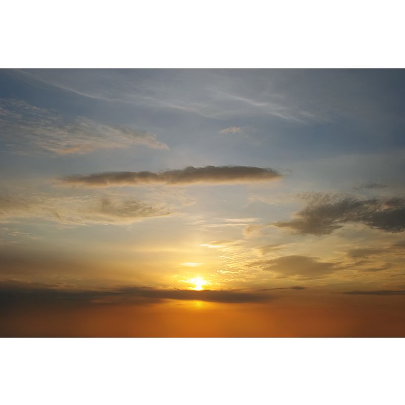 Splendid Evening Glow Mural Wallpaper for Living Room, Dark Color, Personalized Size