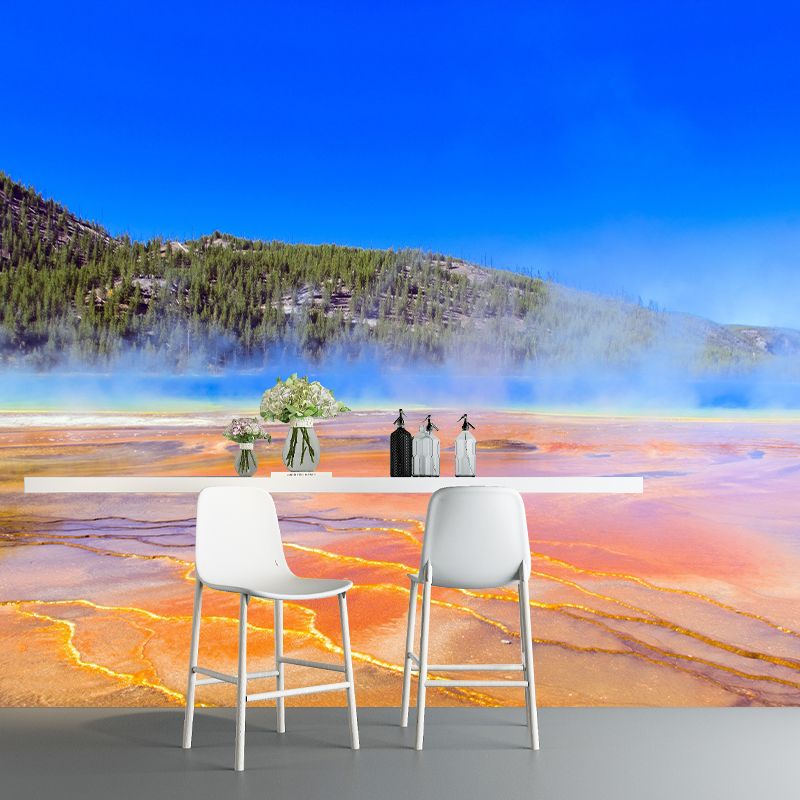 Lake Photography Pattern Mildew Wall Mural Horizontalt for Living Room
