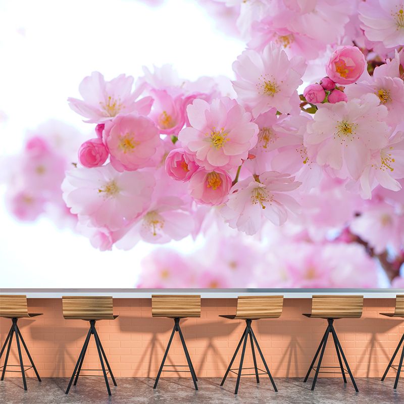 Cherry Blooming Wall Mural Photography Horizontal Modern Living Room Wall Covering