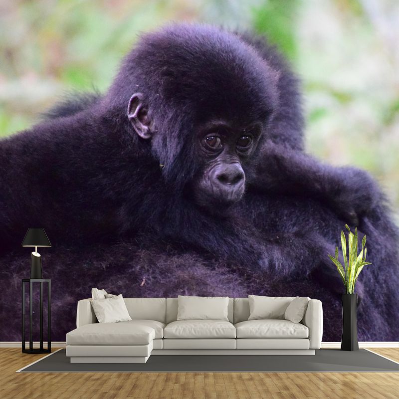 Chimpanzees Animal Wallpaper Mural Contemporary Style Wall Art for Living Room