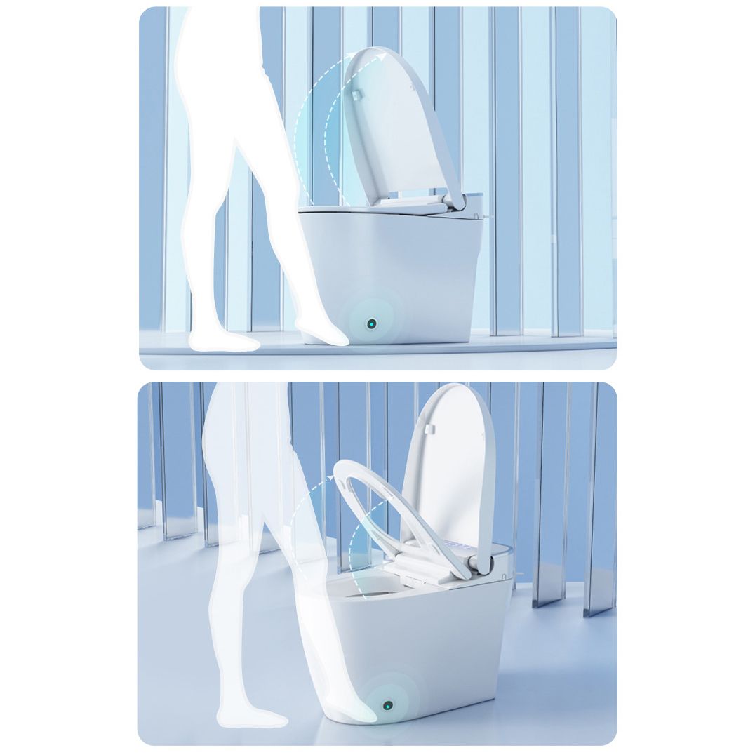 Contemporary 1-Piece Bidet Toilet Floor Mounted White Toilet Bowl for Bathroom