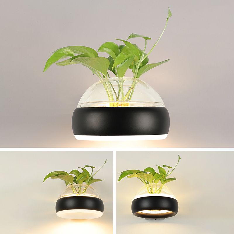 Modern Creative Plant Wall Sconce Light Glass Pot with Acrylic LED Wall Mount Lamp