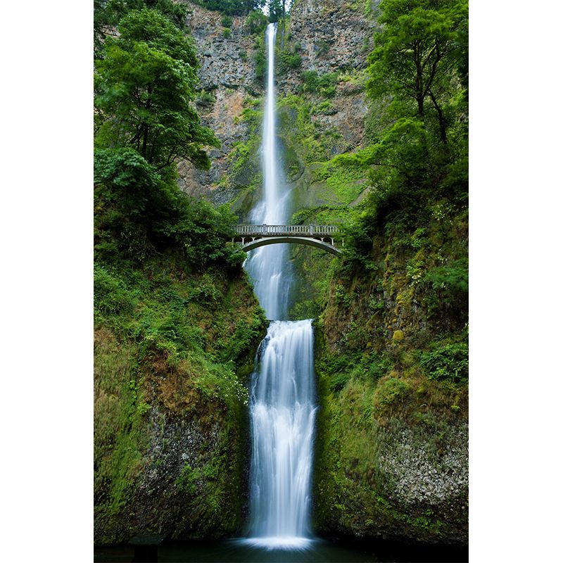 Landscapes Pattern Mildew Wall Mural Horizontalt for Living Room