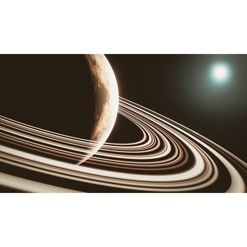 Photography Stain Resistant Mural Wallpaper Cosmos Living Room Wall Mural