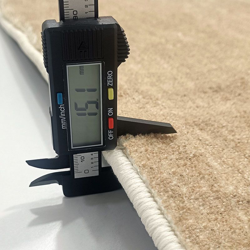 Modern Polyester Carpet Trendy Solid Color Area Rug Non-Slip Backing Rug for Living Room