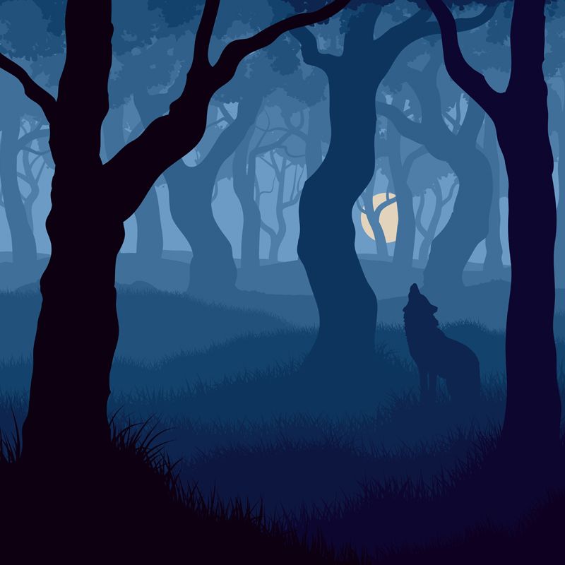 Blue Modern Mural Wallpaper Large Wolf Howling in Night Foggy Forest Wall Decor for Home