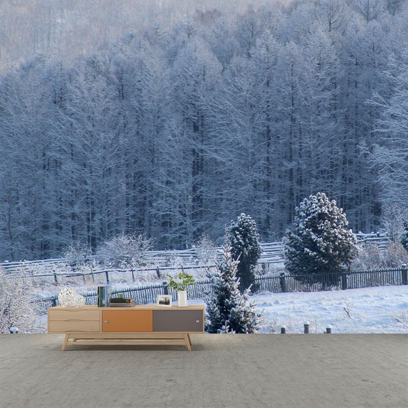 Photography Forest Landscapes Mural Eco-friendly Wallpaper for Room