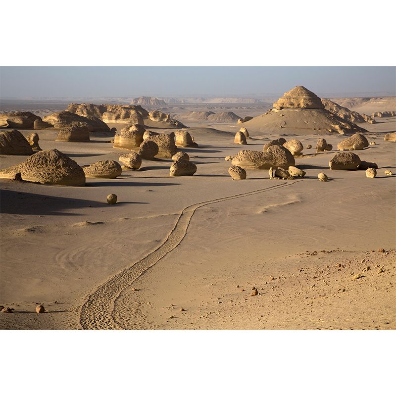 Barren Desert Mural Wall Paper Home Decorations for Bedroom Living Room