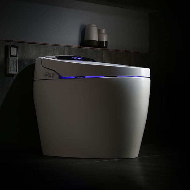 Modern 1-Piece Bidet Toilet Floor Mounted Toilet Bowl for Washroom