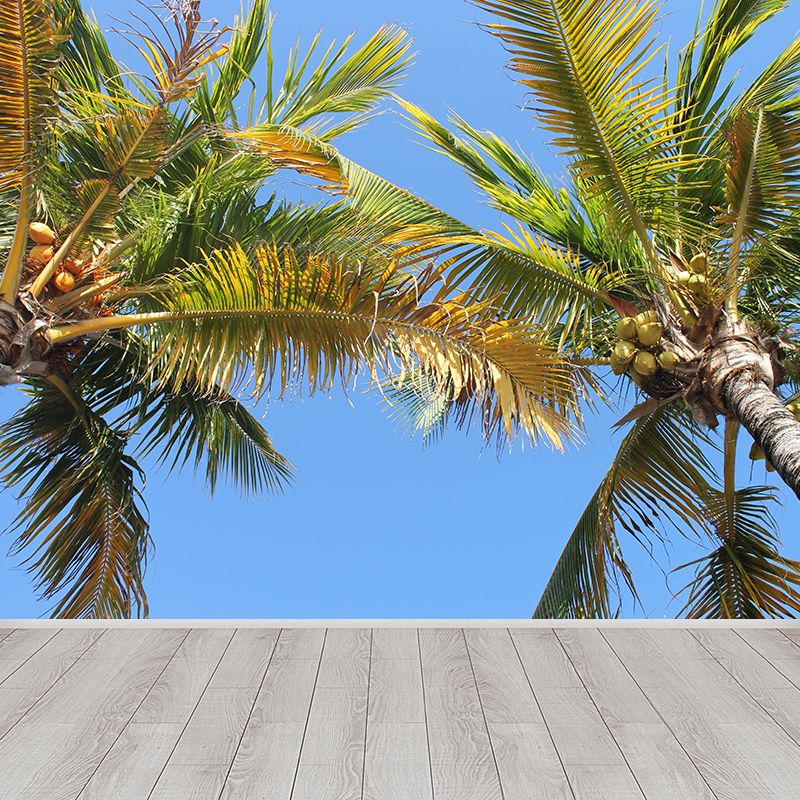 Beautiful View of Palm Tree Wall Mural for Living Room Wall Decor, Custom Made