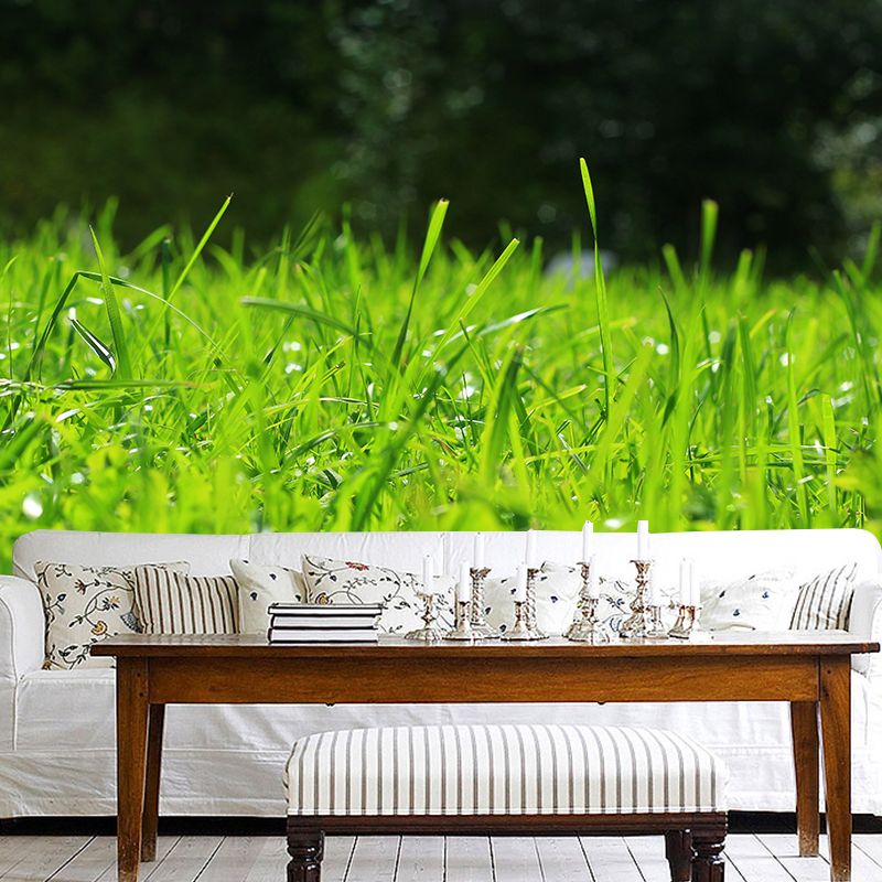 Weed Wall Mural Water Mildew Resistant Environment Friendly Wall Decor for Bedroom