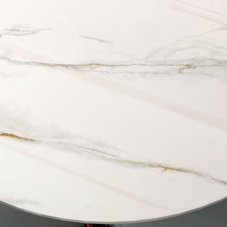 Contemporary Round Turntable Faux Leather Dining Set Stone 1/4/7 Pieces Dining Furniture