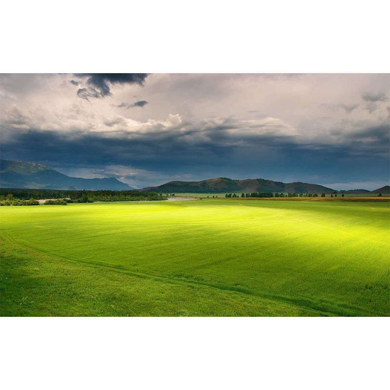 Non-Woven Waterproof Mural Modern Meadow with Moving Cloud Scenery Wall Decor in Green