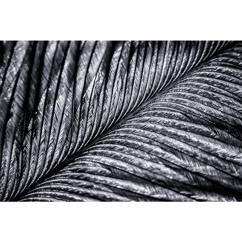 Peacock Feather Mural Wallpaper for Sleeping Room Water Resistant, Custom Made