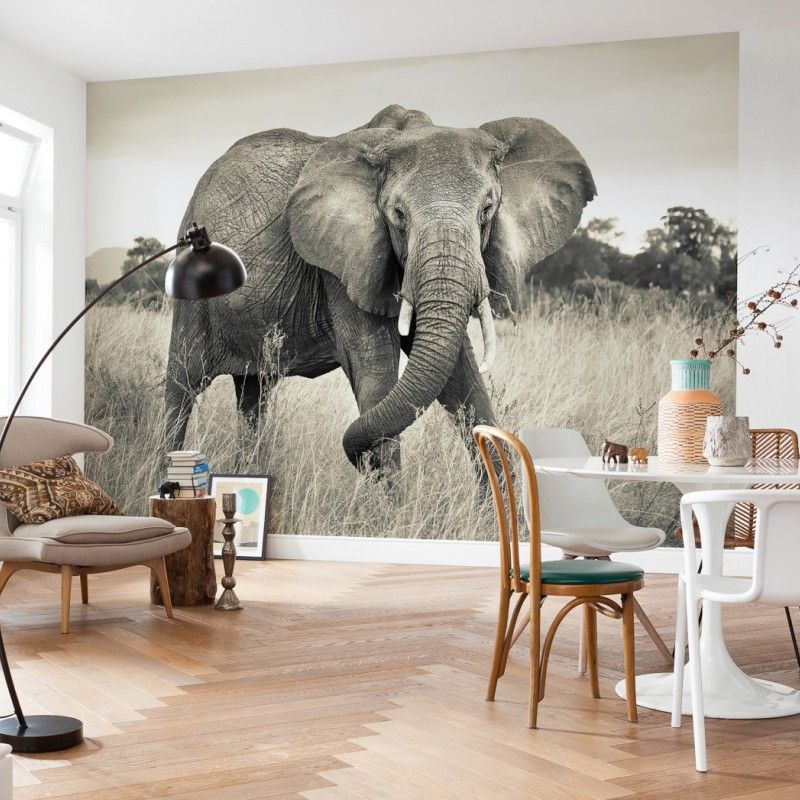 Whole Photo Style Minimalist Mural Wallpaper for Guest Room Decoration with Elephant Design in Grey