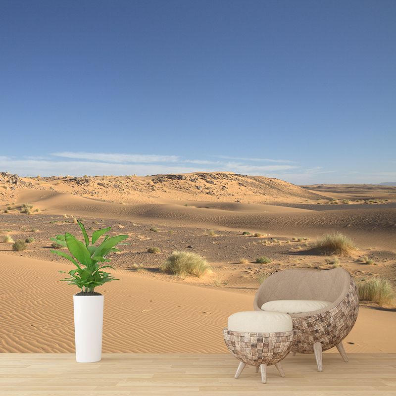 Desert Scenery Mural Decal Customized Contemporary Wall Covering for Bedroom