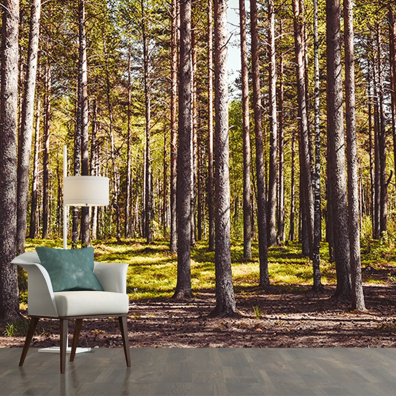 Forest Scenery Mildew Resistant Wallpaper Environmental Sleeping Room Wall Mural