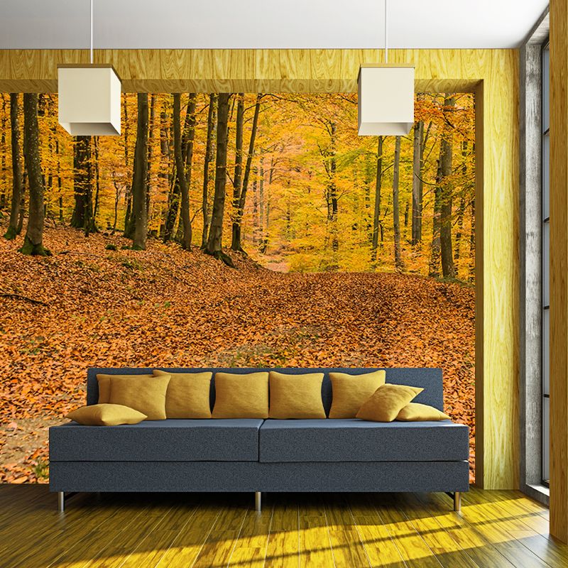 Autumn Forest Mural Wallpaper Stain Resistant for Living Room, Custom Size Available