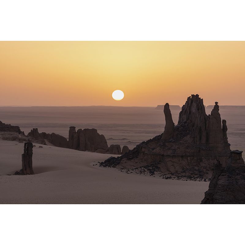 Room Wall Mural Wallpaper Modern Desert Mildew Resistant Wall Decor