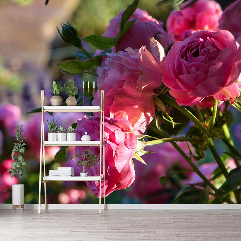 Blooming Roses Removable Mural Wallpaper Stain Resistant Decor for Bedroom